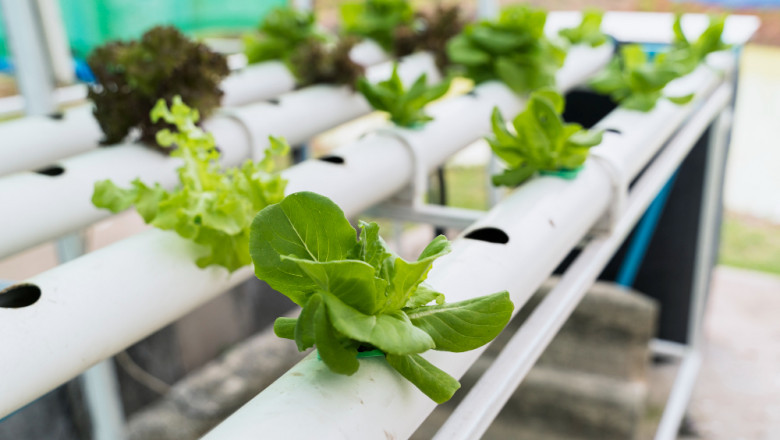 Aquaponics Market Size, Share, Trends, Future Outlook, 2032
