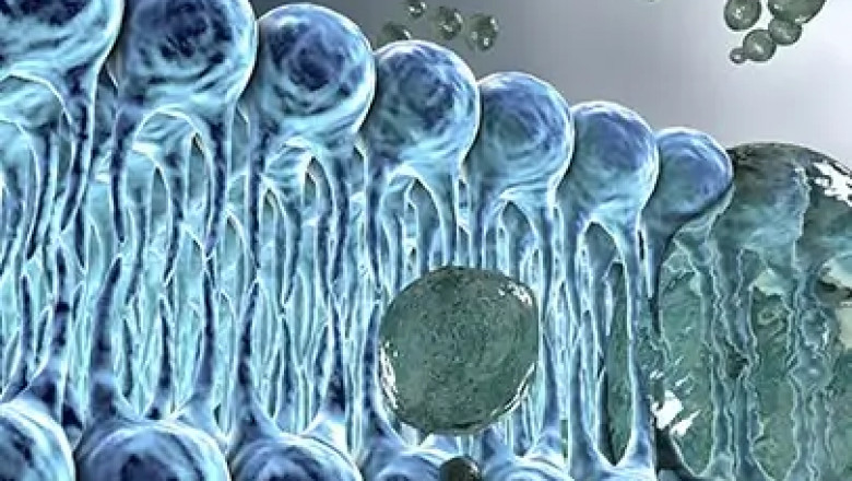Breaking Through Digestion Barriers with SuperCut Restriction Enzymes