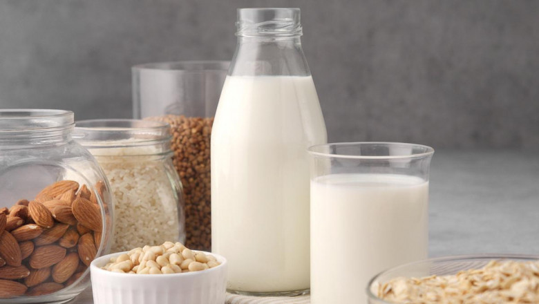 Dairy Sweetener Market Demand Dynamics and Consumer Behavior