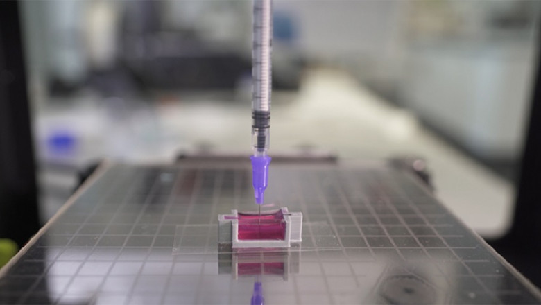 Live Cell Monitoring Market Development Stifled by Fragmented Infrastructure and Limited Automation Adoption