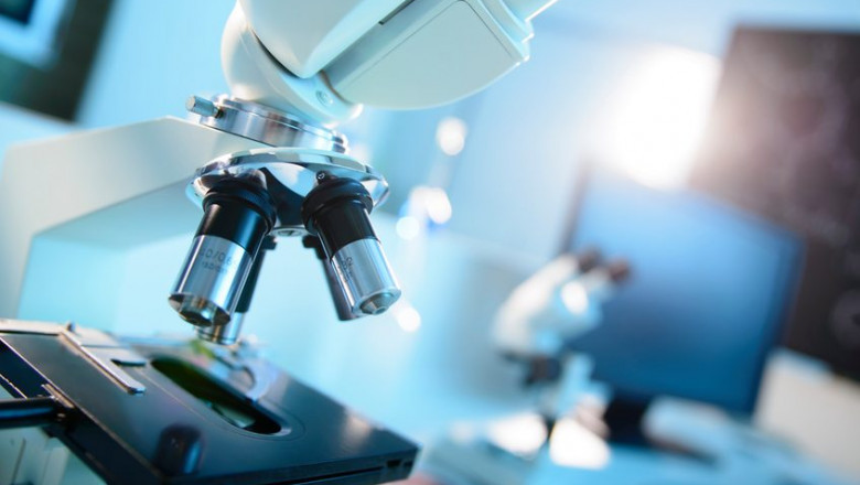 Microscopy Market Dynamics Reveal New Opportunities Across Life Sciences and Materials Research Industries