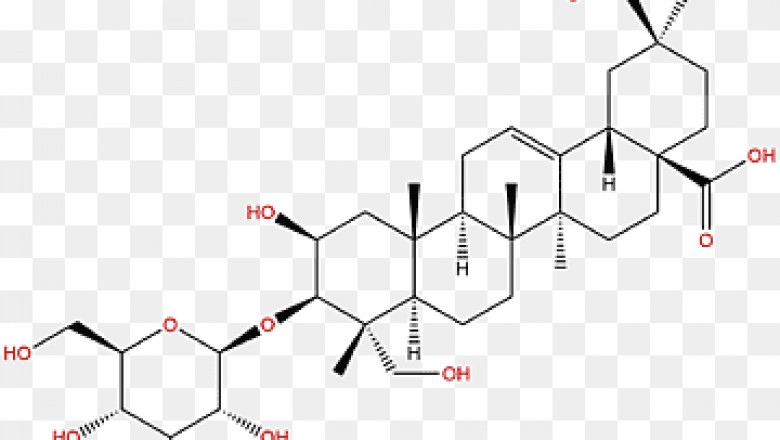 Saponin Market Trends Flourish Impressive To 2033