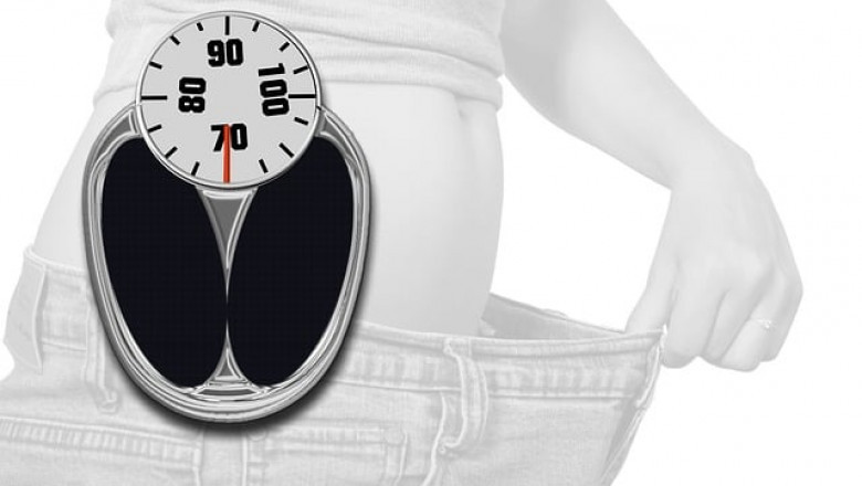 What Makes the Best Weight Loss Program Stand Out