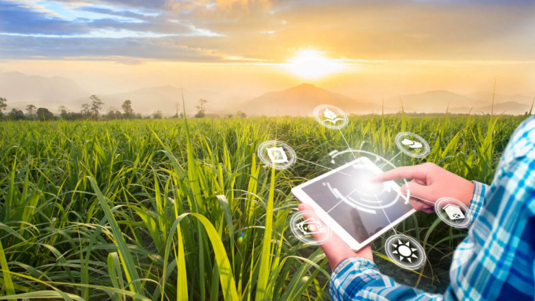Why Your Agribusiness Needs Custom Farm Management Software