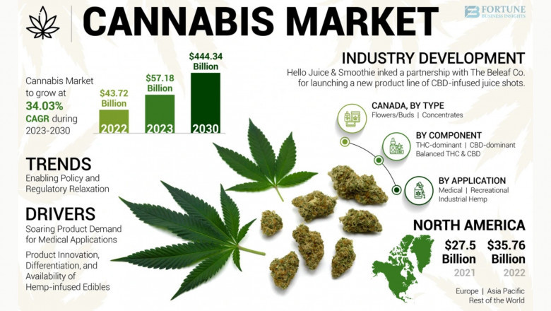 Cannabis Market Size, Share, Comprehensive Analysis and Forecast Through 2030