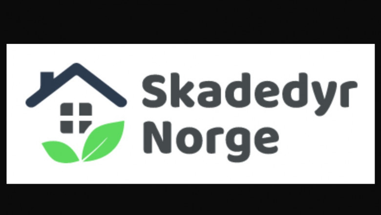 Sliter du med skadedyr? SkadedyrNorge.no har løsningen