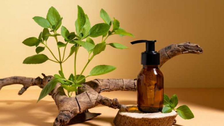 The Eco-Driven Future of Hair Care