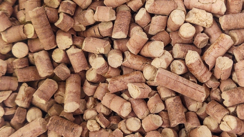 Wood Pellets Market Forecast: Projections Through 2030 and the Future of Bioenergy Demand