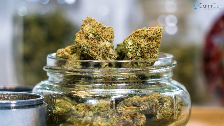 Your Guide to Finding the Right Medical Dispensary in Denver