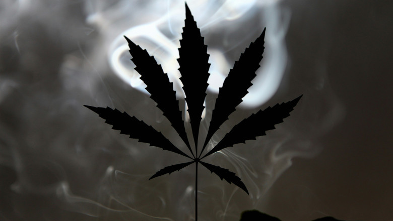 Buy Weed Online in Canada: What You Need to Know