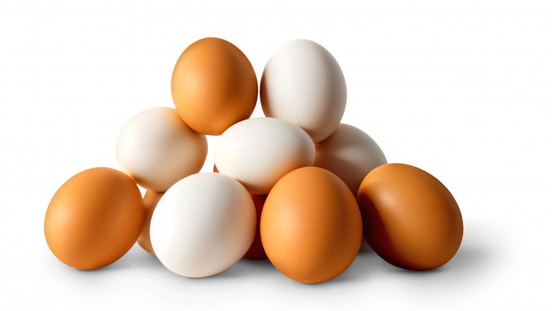 Eggs Market Size, Share, Trends, Analysis, 2032