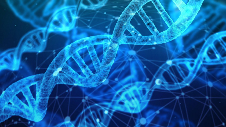 Global T4 DNA Ligase Market: Role in Vaccine Development and Personalized Medicine