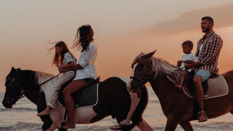 Riding Into Serenity: The Unforgettable Experience of Horseback Riding