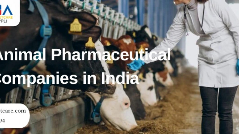 Top Animal Pharmaceutical Companies in India