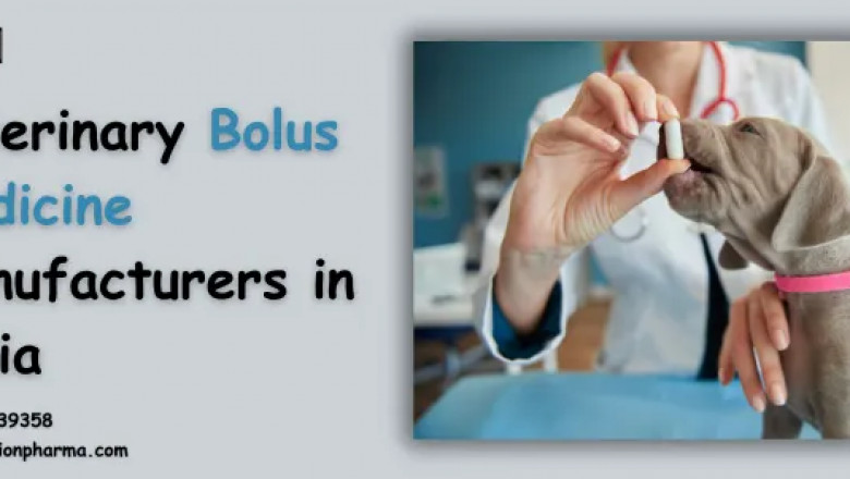 Veterinary Bolus Medicine Manufacturers in India
