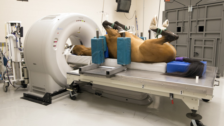 Veterinary MRI Systems Market Gains Momentum Amid Growing Pet Ownership and Veterinary Infrastructure