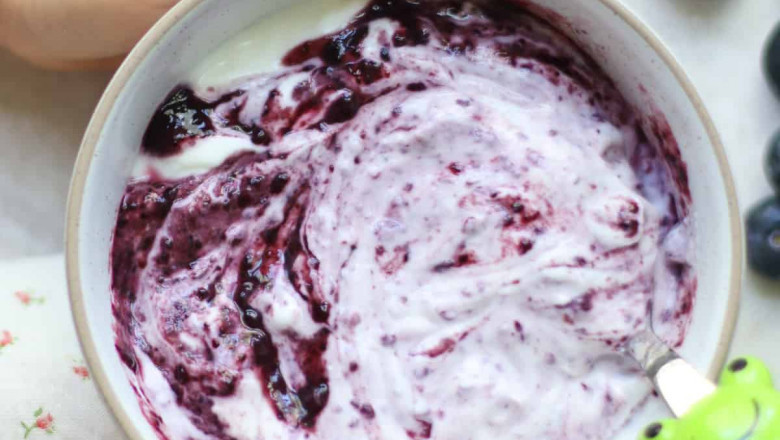 Citrus Yogurt Market Impacting Factors: Drivers Shaping Consumer Demand and Industry Growth