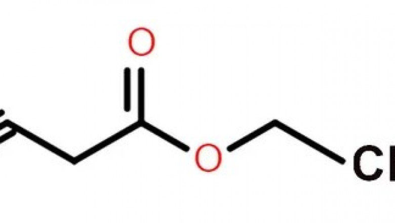 Global Ethyl Cyanoacetate Market: Trends and Key Highlights