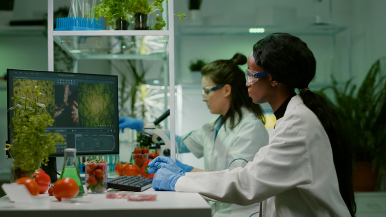 How the Bioinformatics Services Market is Transforming Healthcare &amp; Research