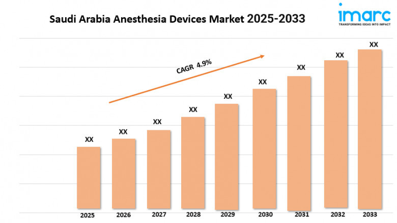 Saudi Arabia Cybersecurity Market Size, Growth, and Forecast 2025-2033