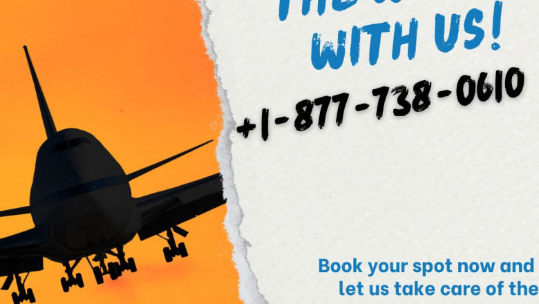 American Airlines Help Guide: How to Get in Touch via Phone, Email, or Live Chat