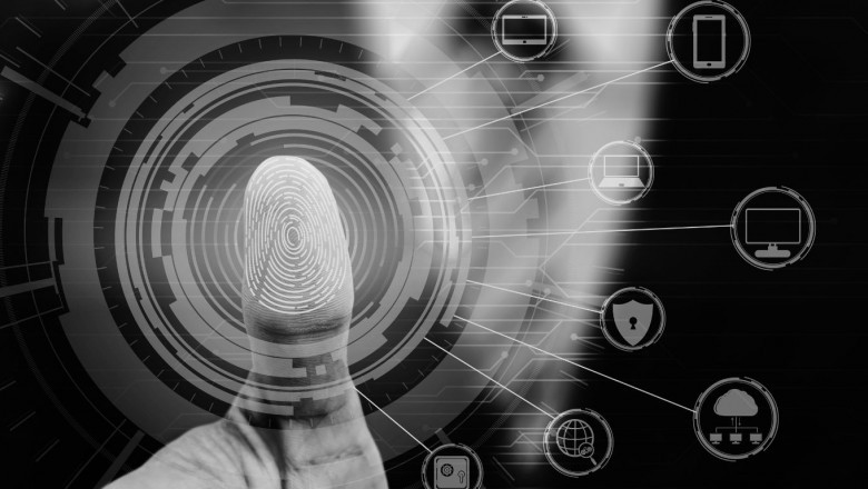 Hire Data Scientists to Automate Data Observability