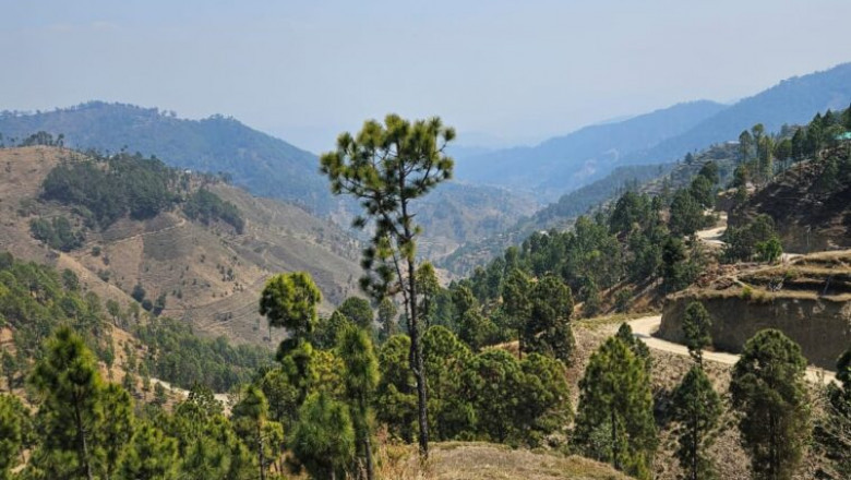 Properties for Sale in Uttarakhand 22