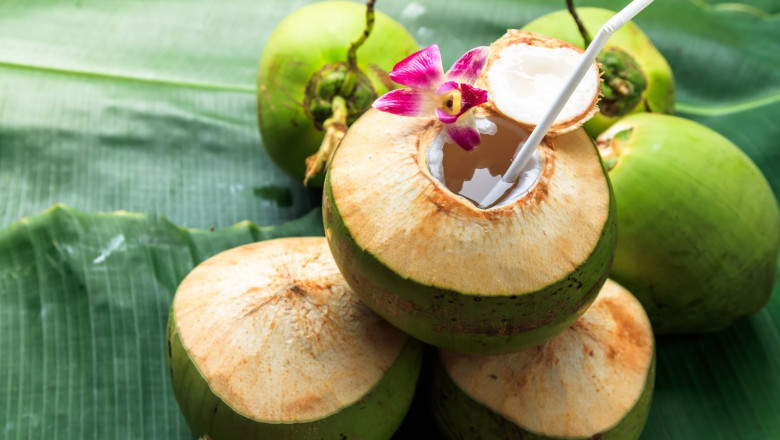 Coconut Water Market Dynamics: Interplay of Forces Shaping the Industry