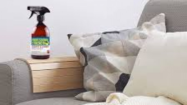 Fabric Conditioners Market Demand Rising Due to Premium Product Positioning and Advertising