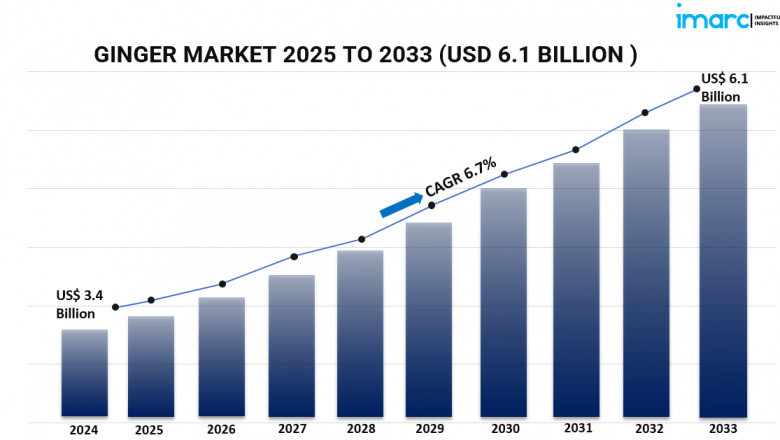 Global Offshore Helicopter Services Market Trends 2025: Supporting the Energy Frontier