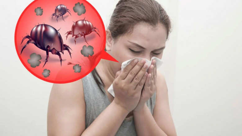 House Dust Mite Allergy Market to Grow Amid Rising Allergy Prevalence