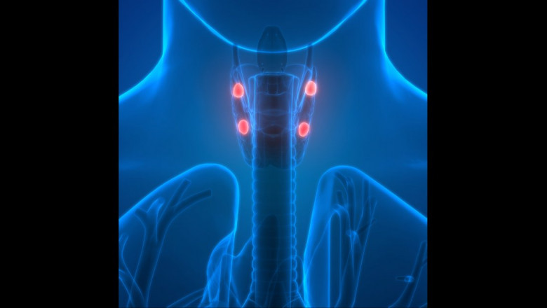 Hypoparathyroidism Market to Surge with Recombinant PTH Analogs