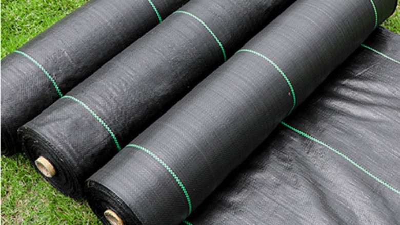 Weed Mat: A Sustainable and Practical Solution for Garden Weed Control
