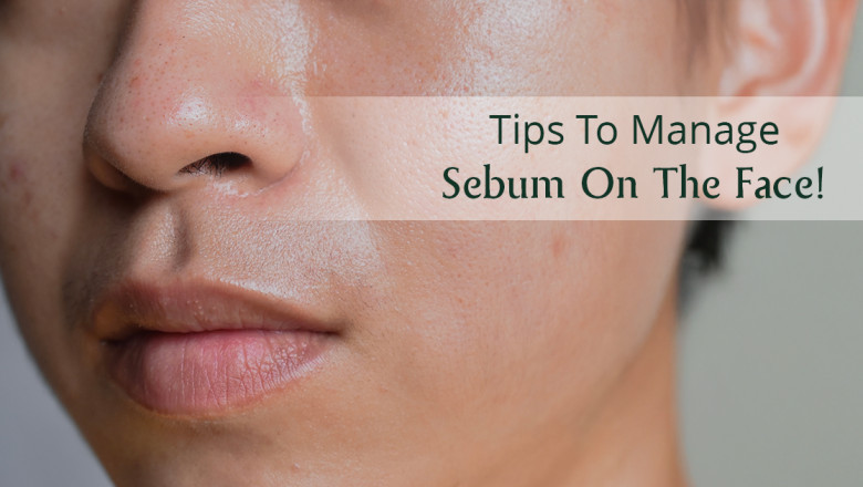 What Is Sebum and Why Does It Build Up on Skin? – AreoVeda