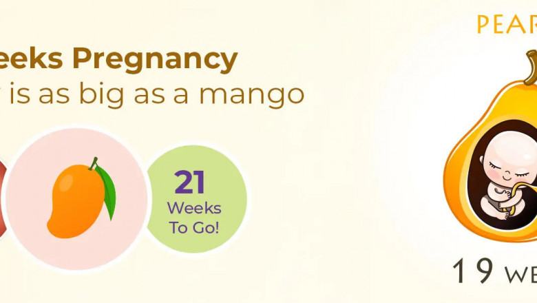19 Weeks Pregnant Symptoms, Belly Size, Baby Growth, Foods to Eat and Tips