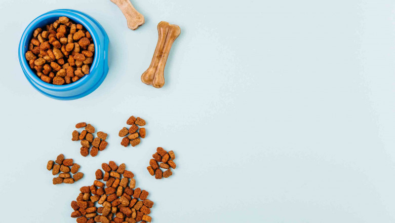 A Guide to Marketing Pet Treats in 2025 and Beyond
