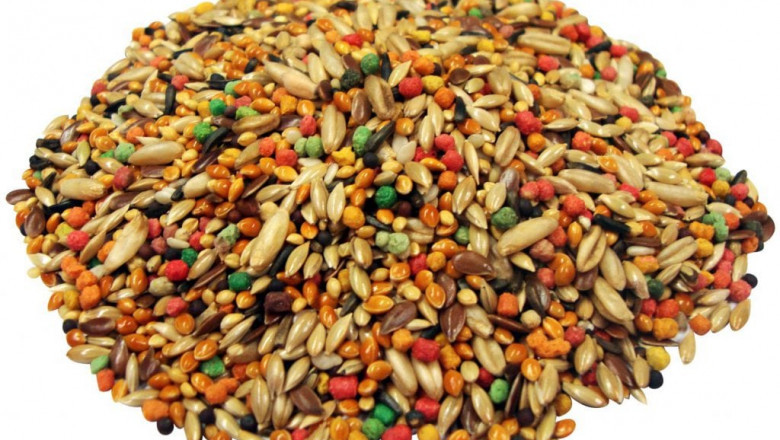 Bird Food Market Scope: Expanding Opportunities Across Pet Ownership, Wildlife Care, and Product Innovation