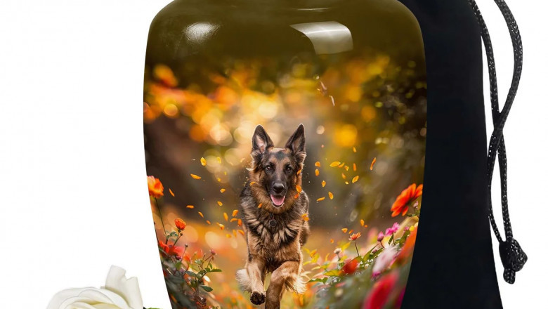 Choosing the Best Funeral Dog Urns for Ashes - A Guide for Pet Owners