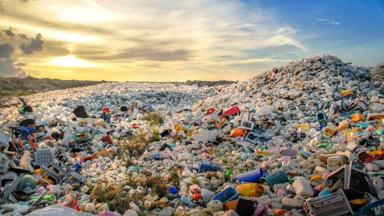 CO₂ Capture from Waste Incineration: How the Netherlands is Cutting Emissions Market
