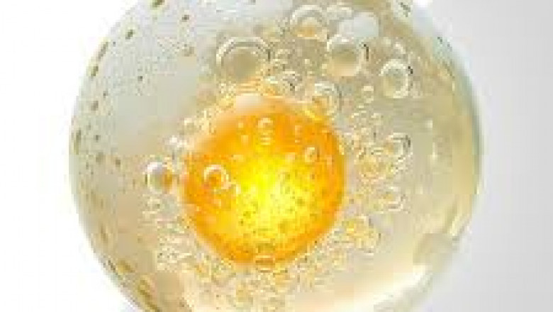 Egg White Peptide Market Impacting Factors: Elements Shaping Demand, Supply, and Strategic Investment