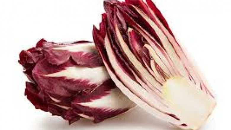 Fructo-Oligosaccharides Market: Accelerators Driving Global Demand and Innovation Forward