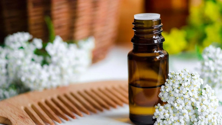 Hair Oil Market Intelligence: Strategic Insights on Growth Drivers, Consumer Shifts, and Industry Dynamics