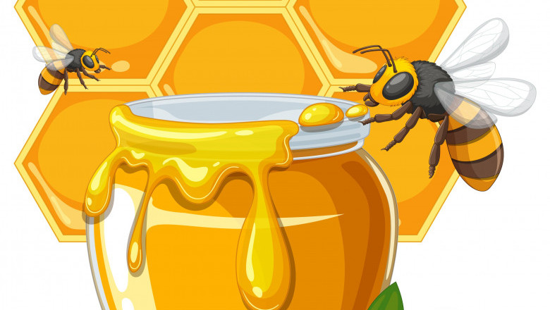 Honey Market Size, Share, Trends, Future Growth, 2032