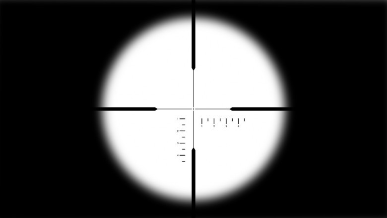 Riflescope Market Trends and Forecast 2025: A Comprehensive Analysis