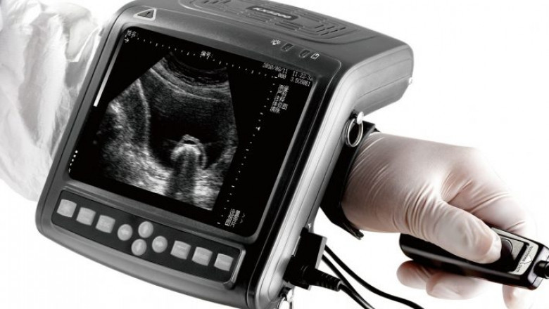Veterinary Ultrasound Scanner Market Analysis by Application, Product Type, and End User