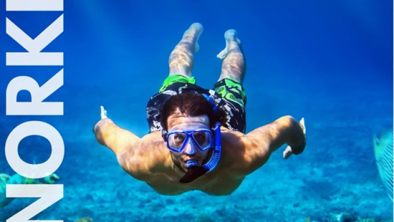 Explore the Magnificent Marine Life of Oman's Daymaniyat Islands and Dive Into Adventure