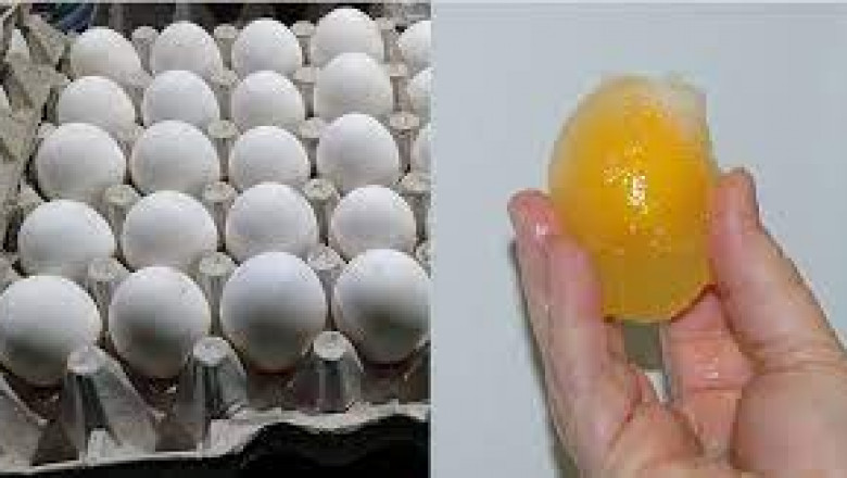 Frozen Eggs Market Impacting Factors: Key Drivers and Challenges Shaping Industry Growth and Development