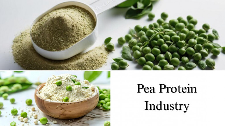 Pea Protein Industry Size, Share, and Growth Forecast, 2032