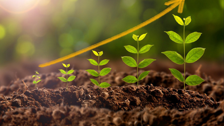 Plant Growth Regulators Market Overview And Competitive Landscape Analysis For 2025