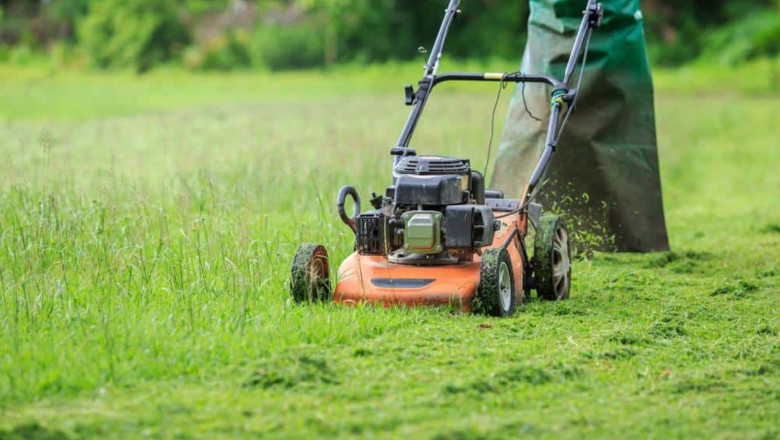 Why Your Lawn Needs You: The Rise of DIY Lawn Maintenance